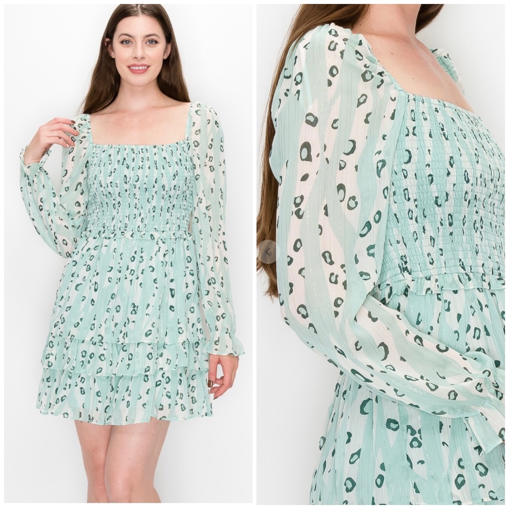 FEW LEFT❗️INA Gorgeous Chic Mint Sage Abstract Leopard Print Long Sleeves Dress - Picture 6 of 10